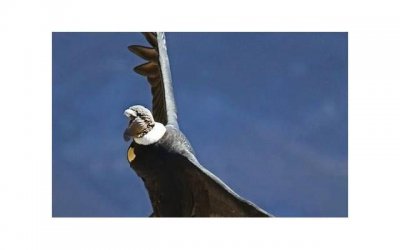 ​爱情公寓5什么时候播（爱情公寓5什么时候播出）