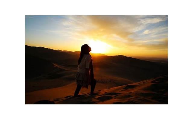 逍遥丸的作用与功能主治有什么？