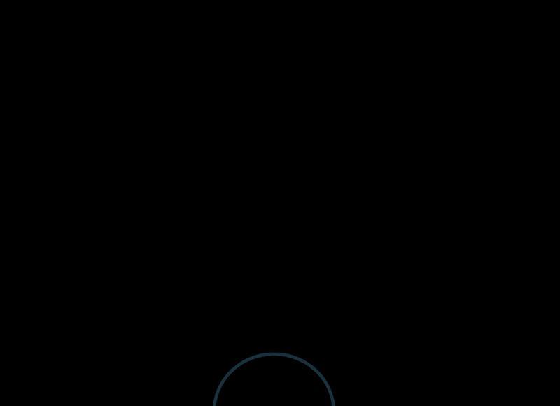 单身贵族图片 文字