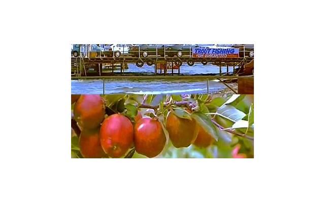 割双眼皮多久恢复（双眼皮手术多久能恢复自然）