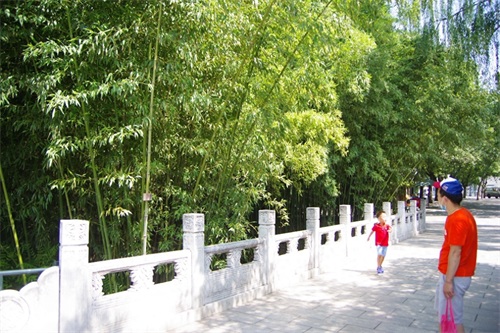 北京紫竹院公园