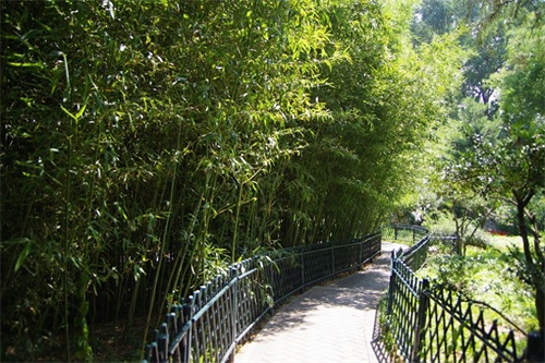 北京紫竹院公园