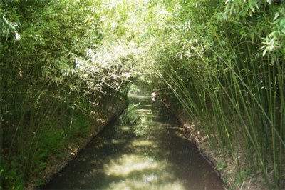 ​北京紫竹院公园