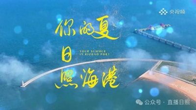 ​《你的夏日照海港》，全网首播！