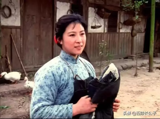 80年代经典国产电影有哪些(盘点80年代的十五部国产电影)