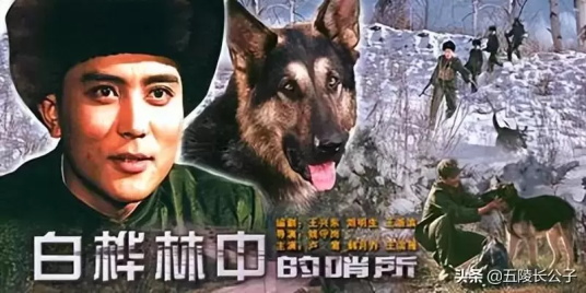 80年代经典国产电影有哪些(盘点80年代的十五部国产电影)