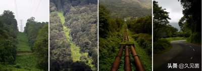 ​“逆向入侵”红鱼走红，被美国人吃到濒危的红鱼，却在中国泛滥