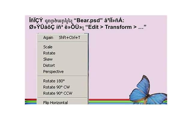 一直坚持自己的爱好感悟