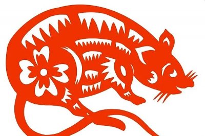 ​安于现状打一生肖-安于现状说的是哪个属相