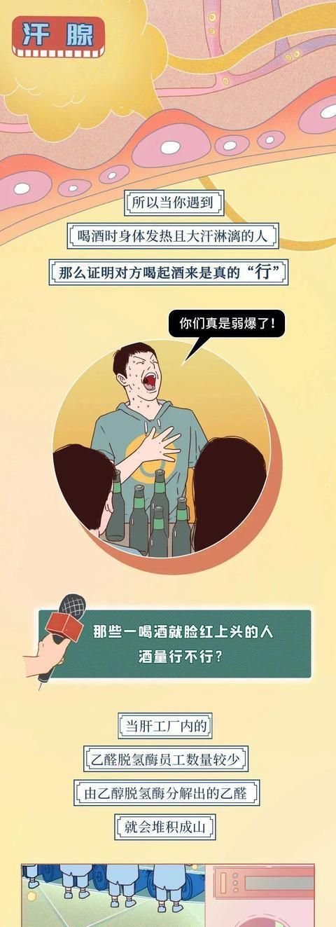 怎么提高酒量喝酒不脸红