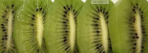 一个奇异果大概多少克,一个猕猴桃多少克图2