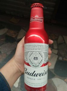 百威啤酒的进价是多少钱一瓶(进口百威啤酒多少钱一瓶)