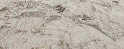 沙子是怎么形成的