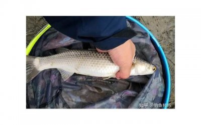 ​夫妻感情不和谐要如何挽回婚姻生活的方法