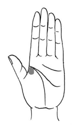 教你怎样看手相（看手相的正确打开方式）(2)