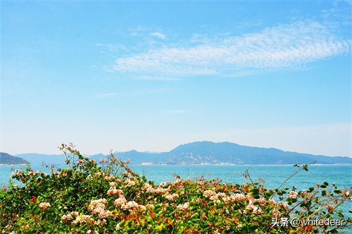 杨梅坑 --- 深圳一处看海 听海的好去处