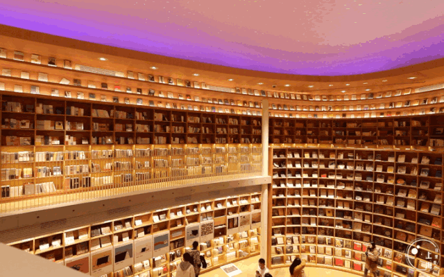 上海一日游最佳景点自由行（上海适合一日游的100个景点）(106)