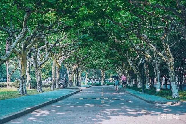 上海一日游最佳景点自由行（上海适合一日游的100个景点）(125)