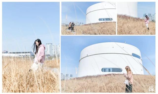 上海一日游最佳景点自由行（上海适合一日游的100个景点）(40)