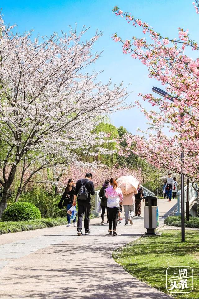 上海一日游最佳景点自由行（上海适合一日游的100个景点）(85)