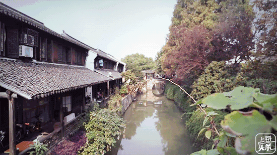 上海一日游最佳景点自由行（上海适合一日游的100个景点）(20)