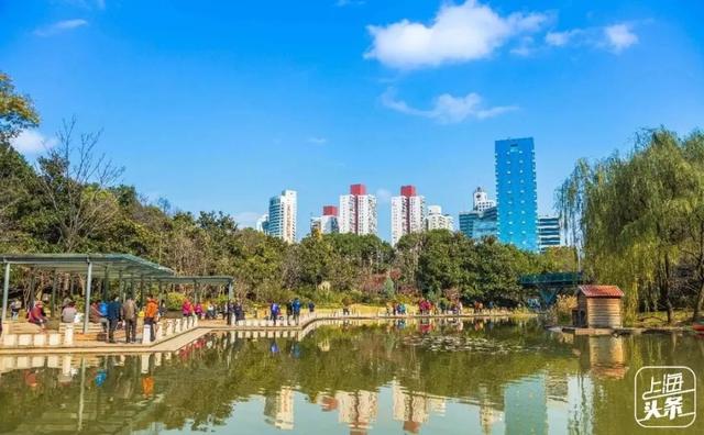 上海一日游最佳景点自由行（上海适合一日游的100个景点）(93)