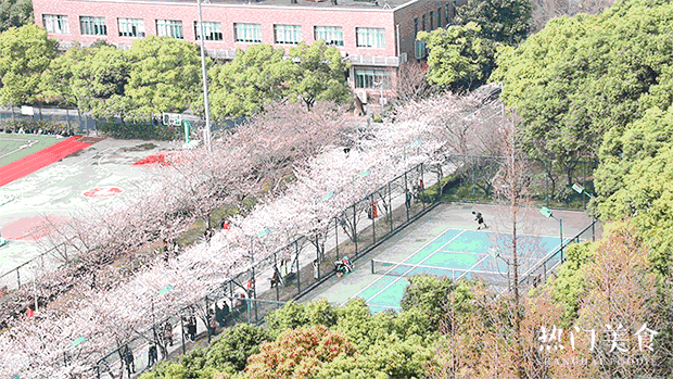 上海一日游最佳景点自由行（上海适合一日游的100个景点）(121)