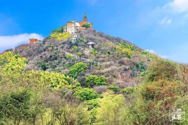 上海一日游最佳景点自由行（上海适合一日游的100个景点）(90)