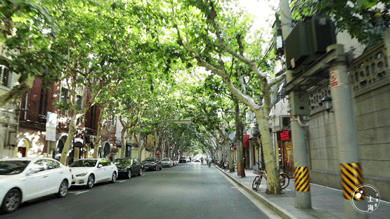 上海一日游最佳景点自由行（上海适合一日游的100个景点）(51)