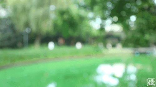 上海一日游最佳景点自由行（上海适合一日游的100个景点）(78)