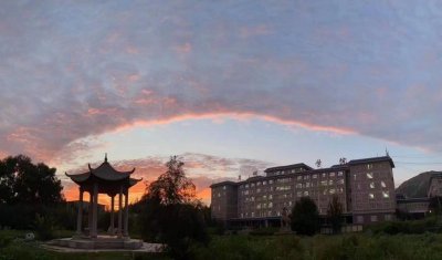 ​卫校是什么？