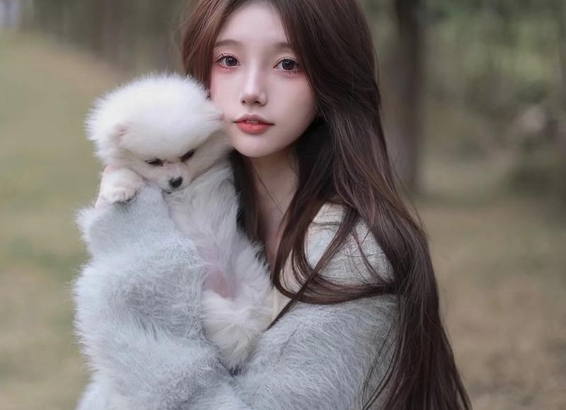 欲加之罪何患无辞，欲加之罪何患无辞,君子无罪,怀璧其罪