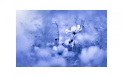 手麻木是什么原因引起的？女性必看的健康小知识