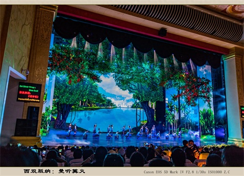 西双版纳:曼听篝火(旅游摄影)