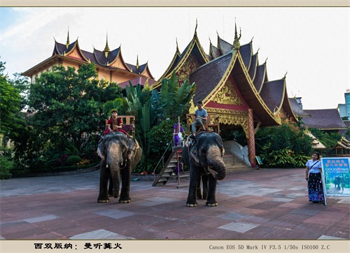 西双版纳:曼听篝火(旅游摄影)