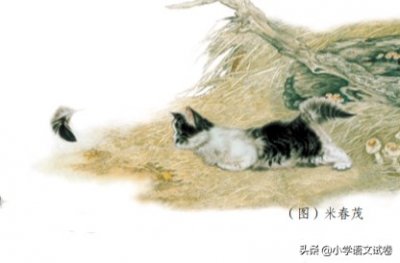 老舍猫的赏析与解析(老舍《猫》教材解析)