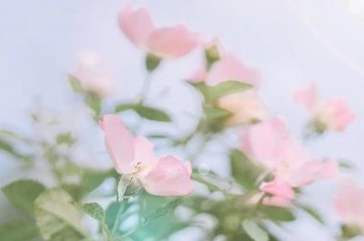 电子签章使用流程电子签章怎么弄