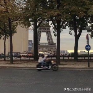 ​安利！现言破镜重圆高干文丨《凹凸》：从青梅竹马开始的爱情