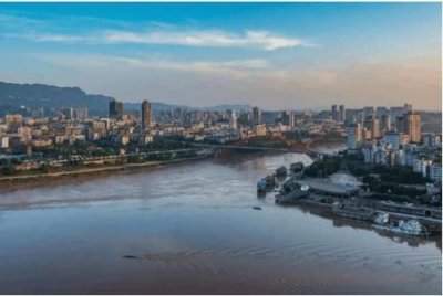 五谷原浆饮料(五谷原浆贵宾酒)