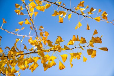 立秋过后多久就不热了(壹邦小知识:立秋后天气还会热吗 立秋过后多久就不热了