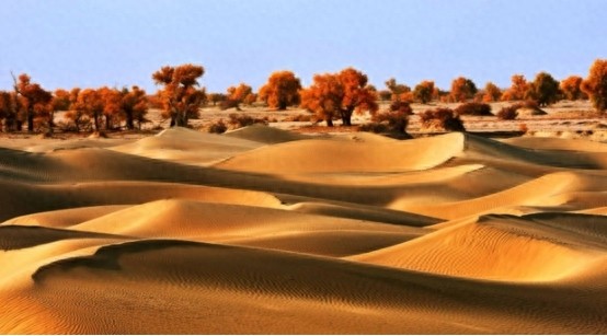 心跳戈壁,让我们一起去征服大西北吧!