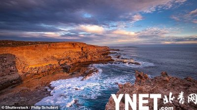 这个鲨鱼湾位于澳洲西部海岸 数百只鲨鱼悠闲游动