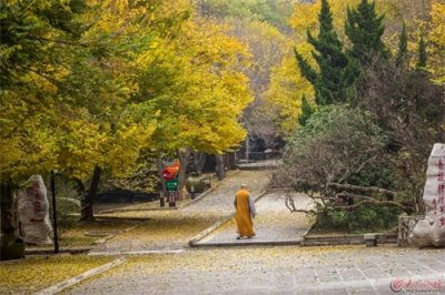 ​这就是枣庄 | 秋色依然