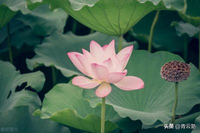 ​佛陀伸出空手问：此珠何色？五方天王回答：手中无珠，何处有色？