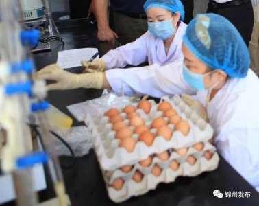 ​真牛！锦州这个“土特产”成为全国此类“唯一国家级样板”！