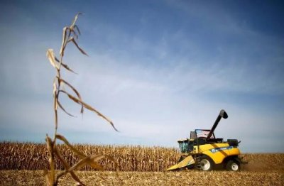 ​实话实说，进口来的美国玉米都是转基因.