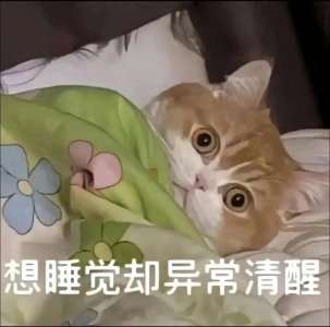 分享:失眠搞怪·表情包·图片