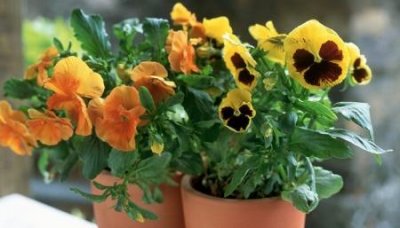 吸嗍橱柜门的网格门的网格条怎么算出来的橱柜网格门怎么做防尘