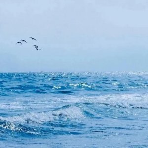 有哪些很高级的文学梗?如何隐晦地表达爱意?