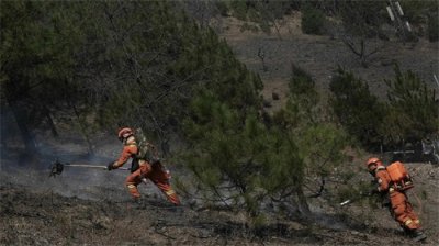 雅江山火肆虐五日!海拔2000米紧急扑救,村民松茸生计堪忧